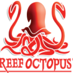 old-logo