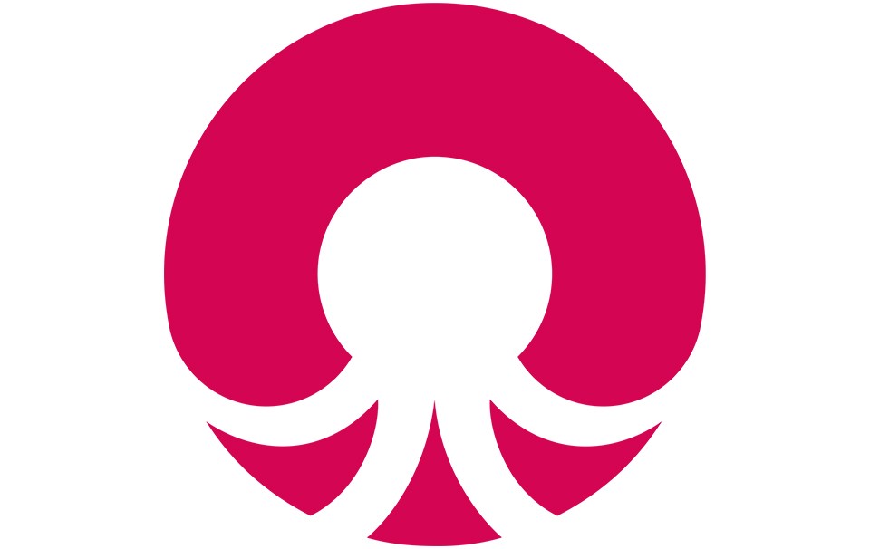 Our Logo – Reef Octopus
