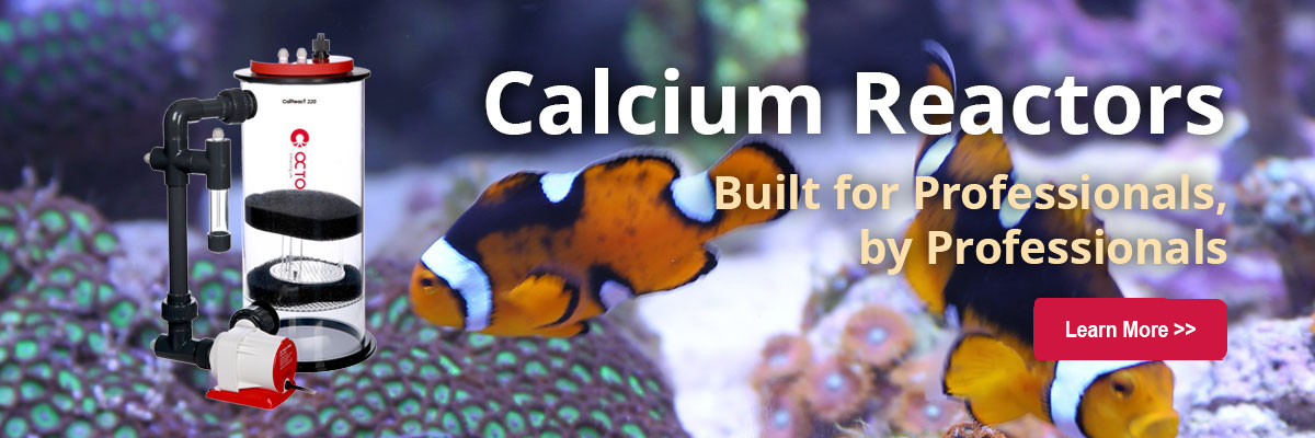 Calcium--Reactors