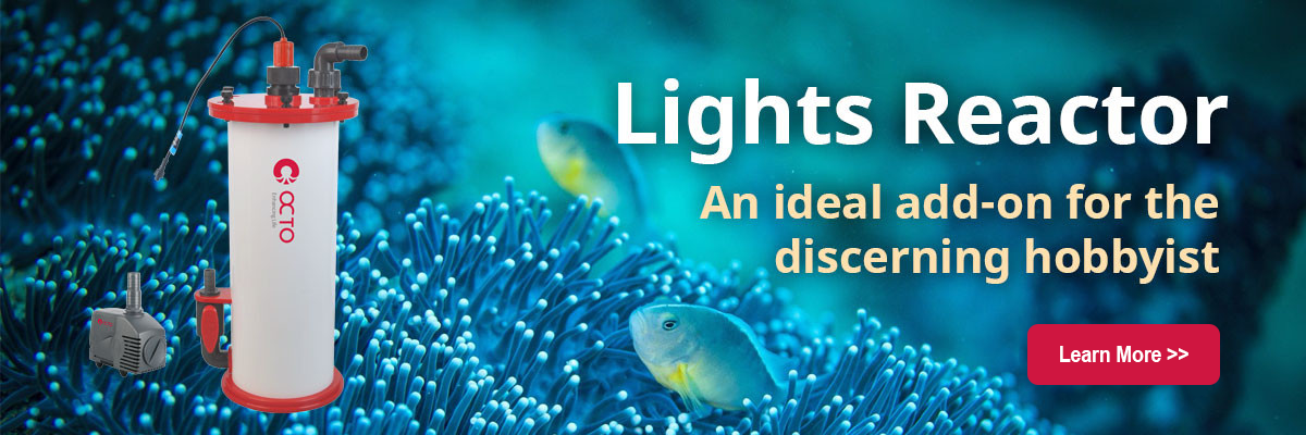Lights-Reactor